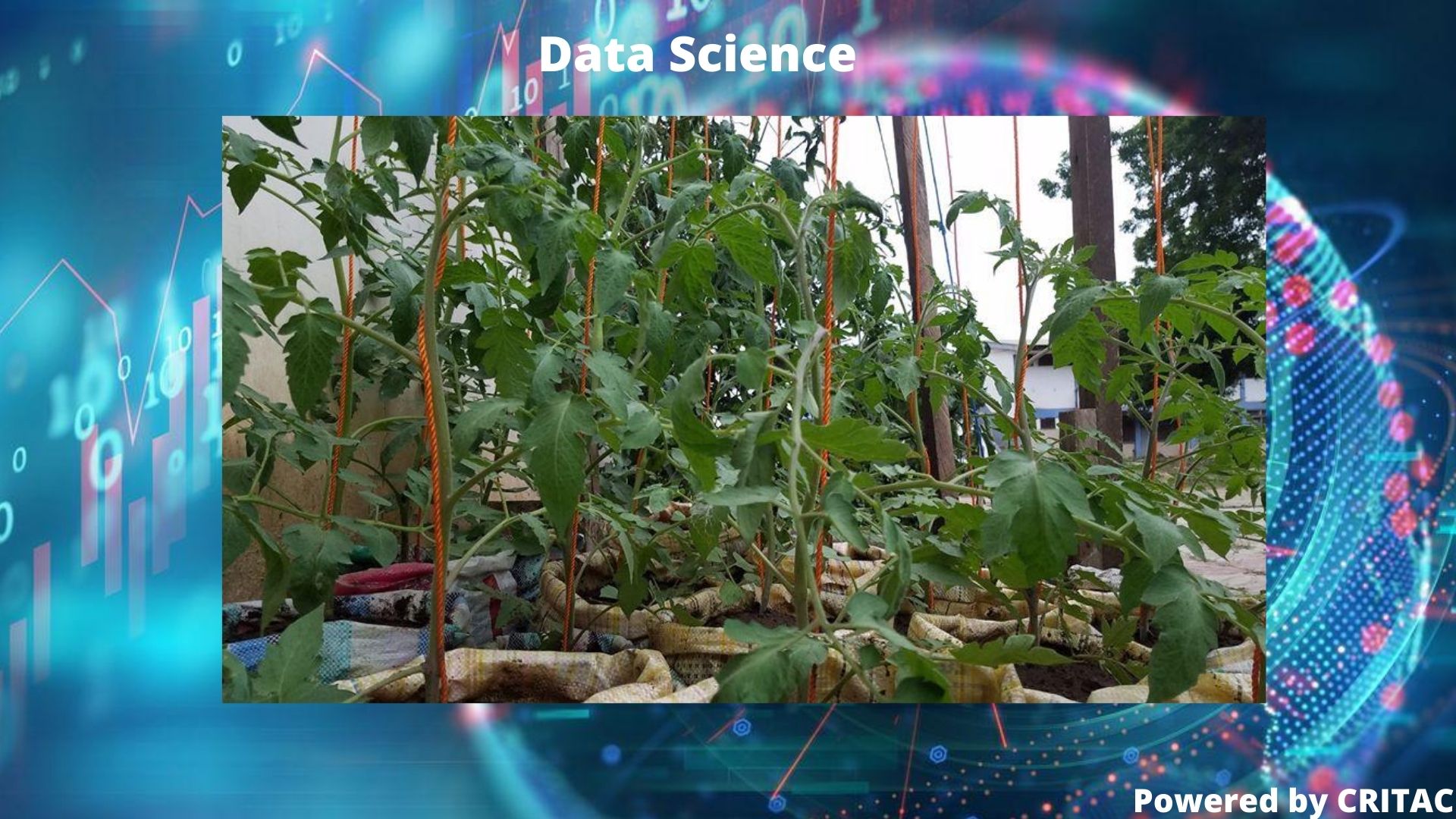 CRITAC DATA SCIENCE DRIVEN AGRICULTURE