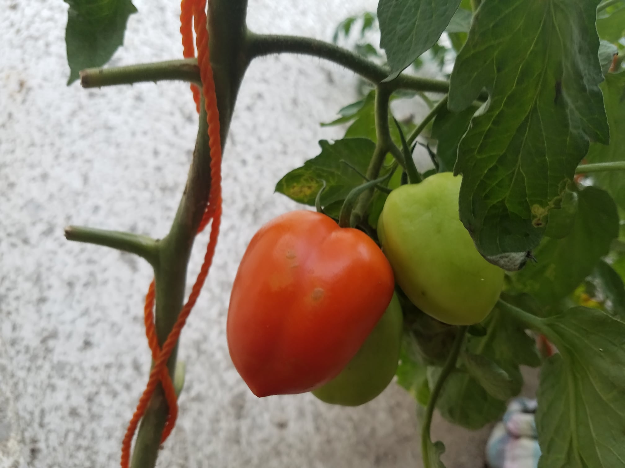  WE MADE FARMING POSSIBLE WITH LITTLE RESOURCES