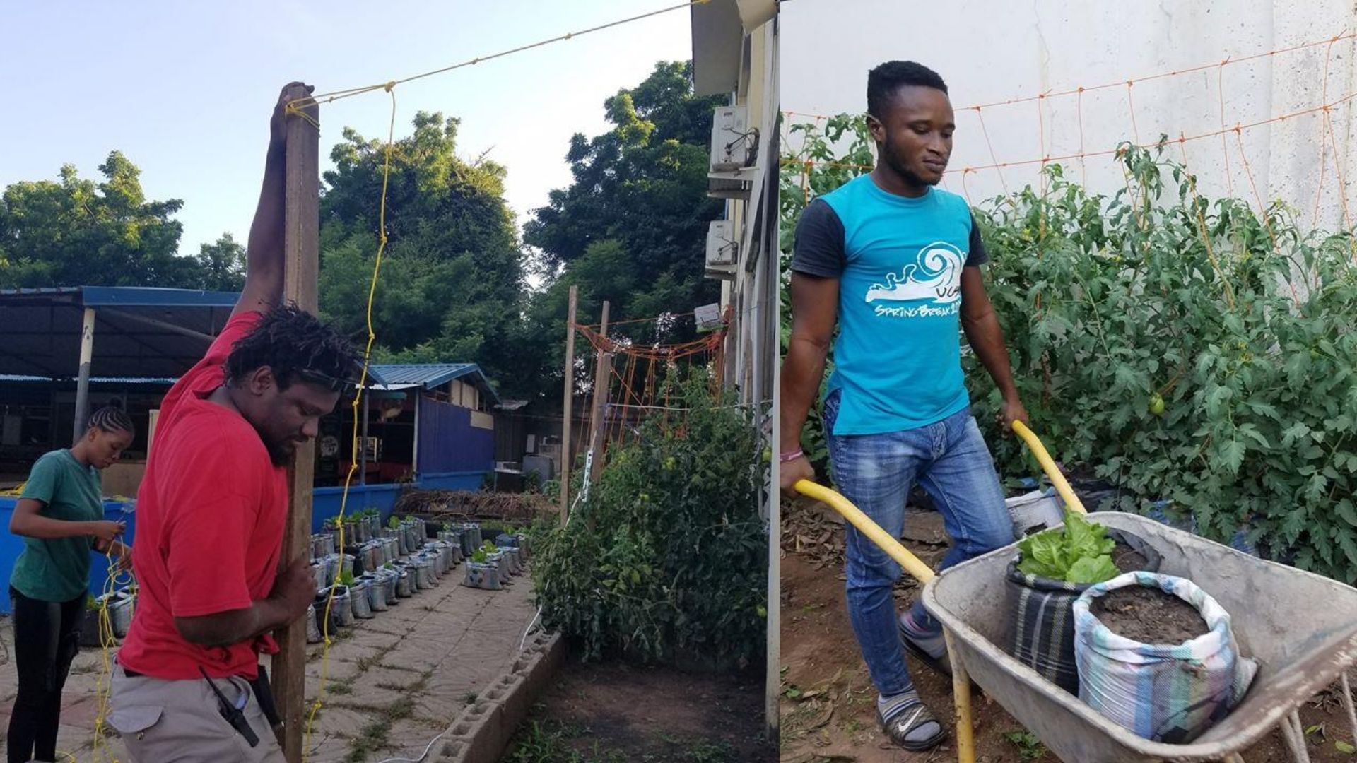 CRITAC FARMS RESEARCH PROJECT