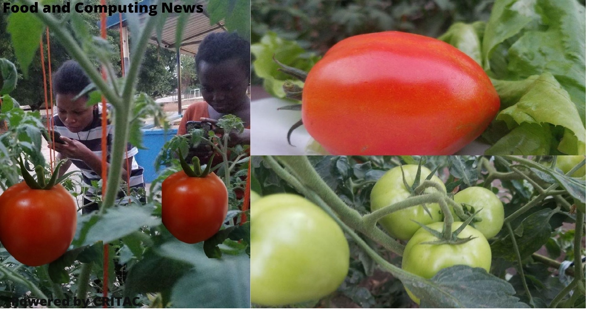 CRITAC FARMS: COMPUTER SCIENCE MEETS AGRICULTURE