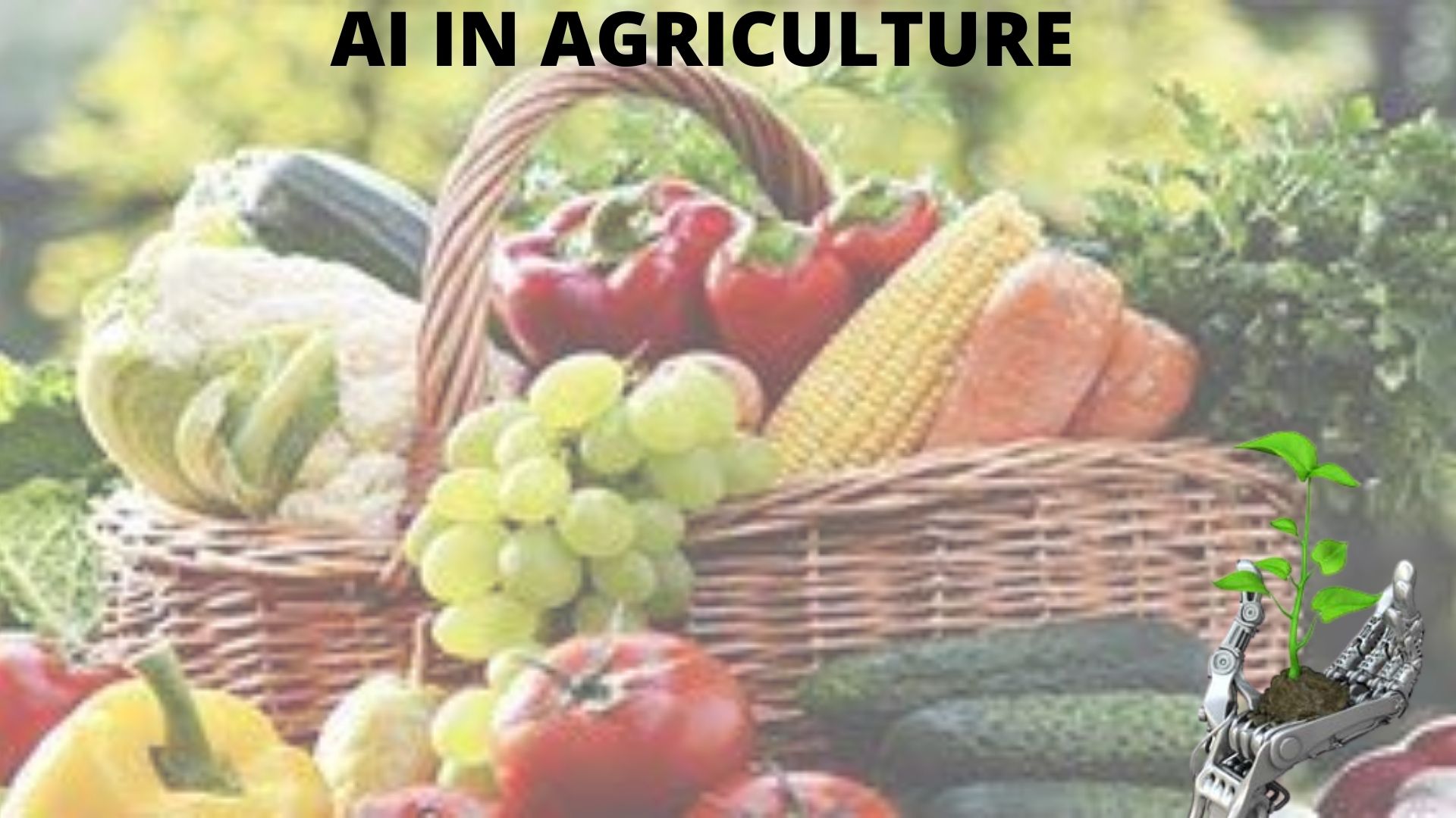 ARTIFICIAL INTELLIGENCE IN PRECISION AGRICULTURE 